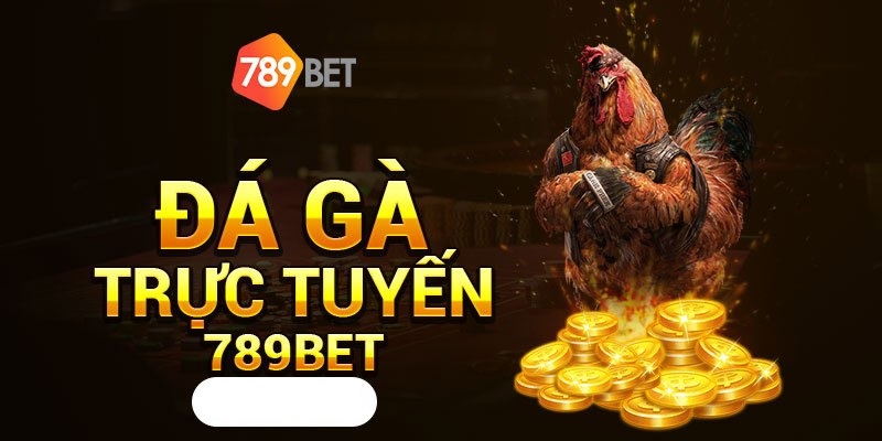 Game đá gà trực tuyến là gì?